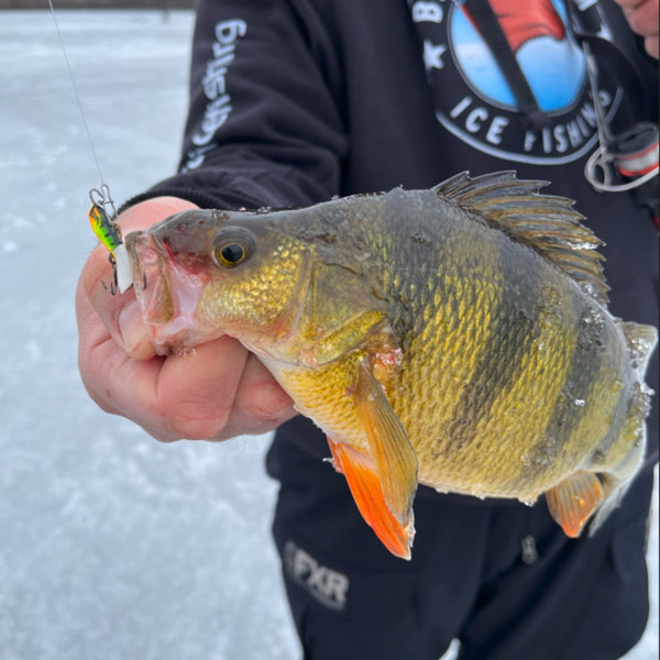 5 Killer Perch Ice Fishing Lures – Im Using Number #3 Today. 