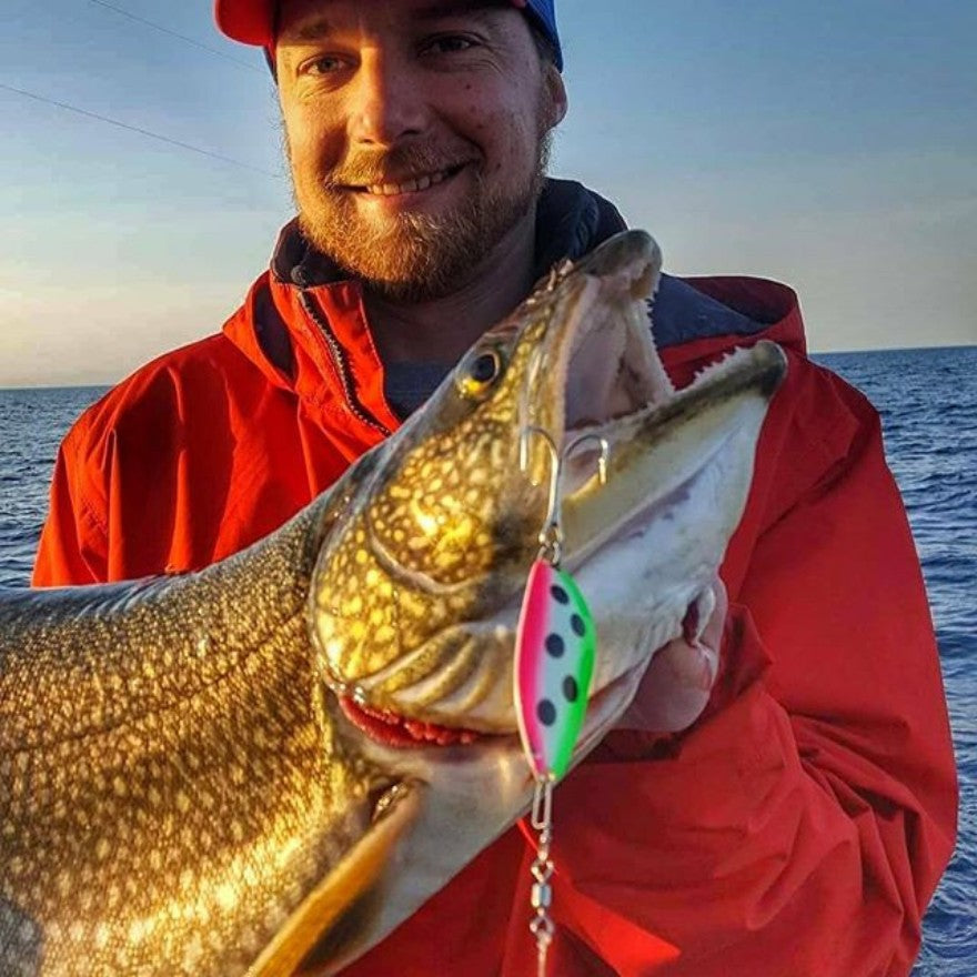 best new trout lures Dynamic HD Lure reservoirs and ponds. Best Trout Fishing Lures, Flies,