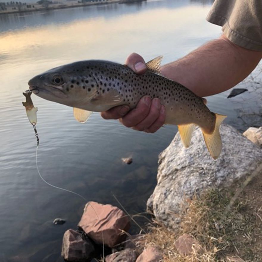 Unleash the Power of the Phoebe: Catch More Fish with Acme Tackle