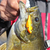 Top 5 Smallmouth Bass Fishing Lures - Acme Tackle
