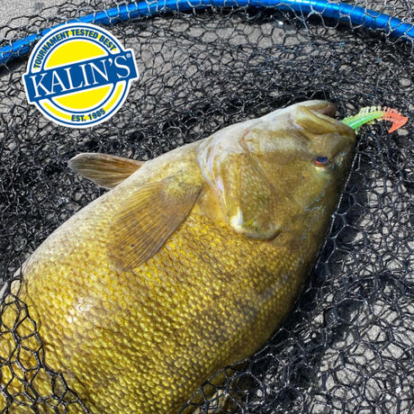 best bass lure in fishing sim world Pro Shops : Planet Entertainment LLC: Video Games Gear Review: Fishing Sim World