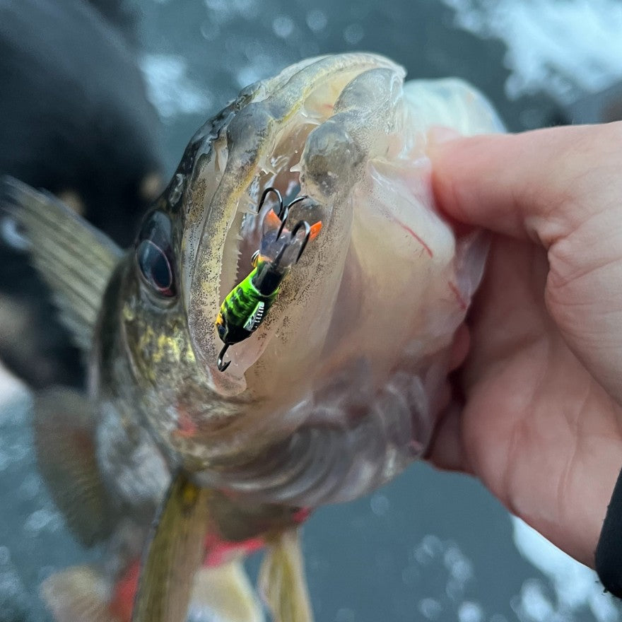 best bass ice fishing lures for Perch Walleye Pike Best Ice Fishing Lures