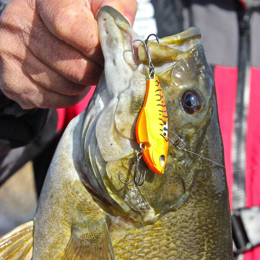 Bass Fishing Lures