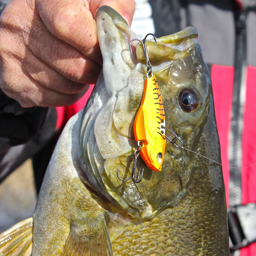 Top 5 Smallmouth Bass Fishing Lures - Acme Tackle Company