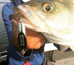 cast masters fishing lures Kastmaster Saltwater Multi Pack 1 oz jigged while ice fishing. Acme Kastmaster Firetiger; 1/8 oz.