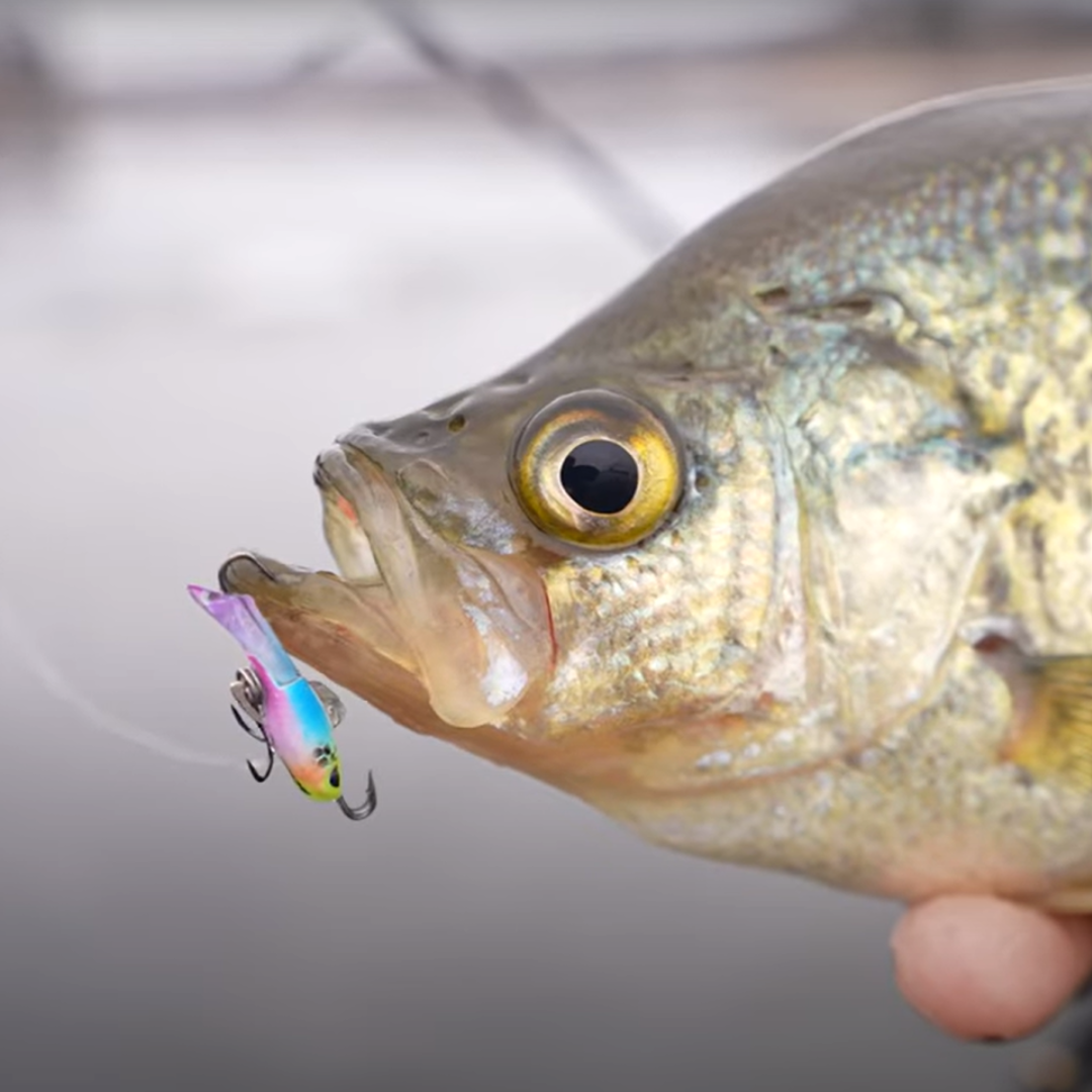 Watch Our Top Ice Fishing Jigs In Action! - Acme Tackle Company