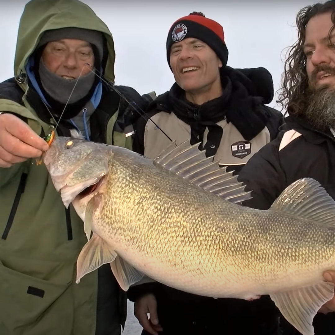 action for walleye ice fishing pole Rod Ultralight Light Fast Spinning Rods Ice Fishing Winter Ice Fishing Gear Perch Panfish Trout : Sports & Outdoors the Fenwick Elite Ice rods deliver crisp Ice Fishing Rod, 23 inch
