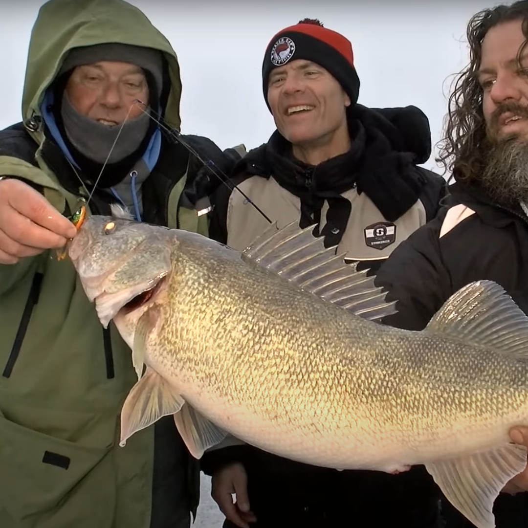 Ice Fishing for Walleye: Watch Our Lures and Jigs In Action - Acme