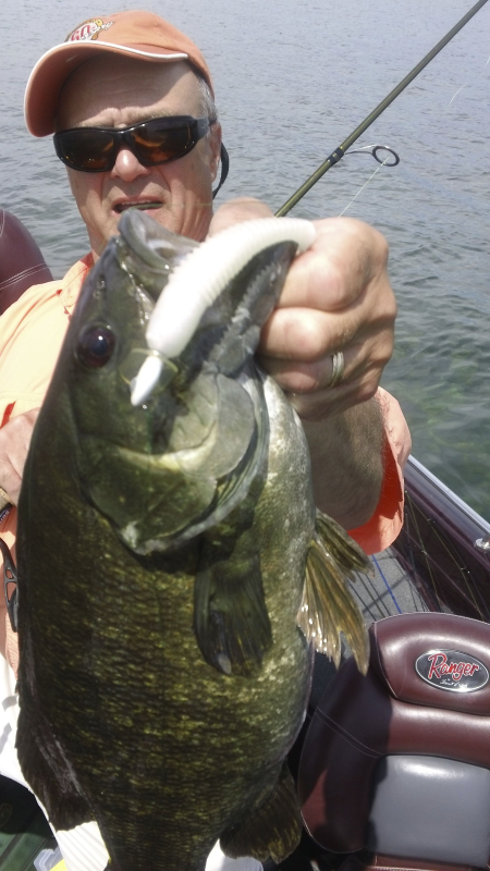 Sizmic – Probably The Best Soft Swimbaits