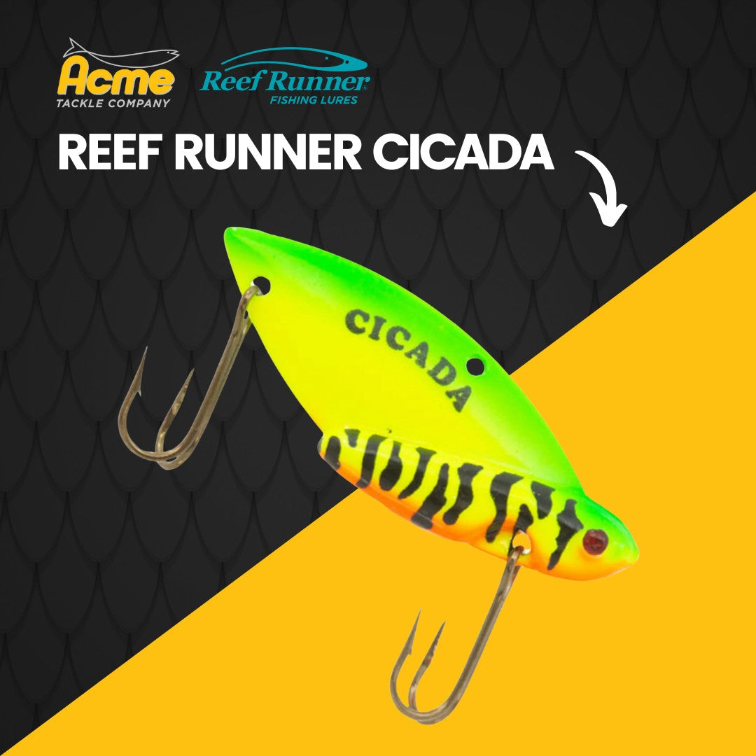 cicada lure fishing 1Pcs Lure, Lifelike 3D Holographic Eyes Freshwater Bait Rattle for Aggressive Bass Suitable for Fishing Enthusiasts : Sports & Outdoors The Reef Runner Cicada blade bait is perfect for casting and jigging Realistic Cicada Shaped Fishing Lures