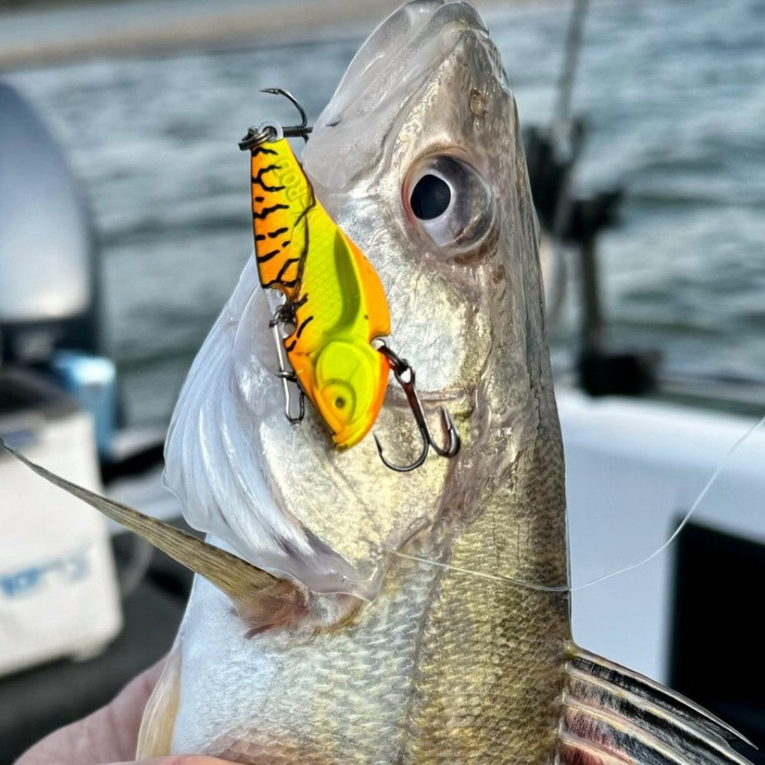 crappie fish lure spray Areytrv Scent Attractants for Baits While some users have Mike Tyson Color:GREEN/YELLOW/ORANGE Extra large Emperor blue