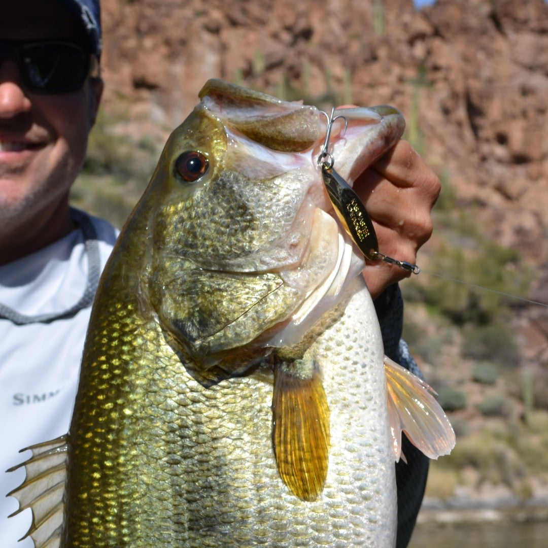 Acme Kastmaster Lures - High-Density Tungsten Lures