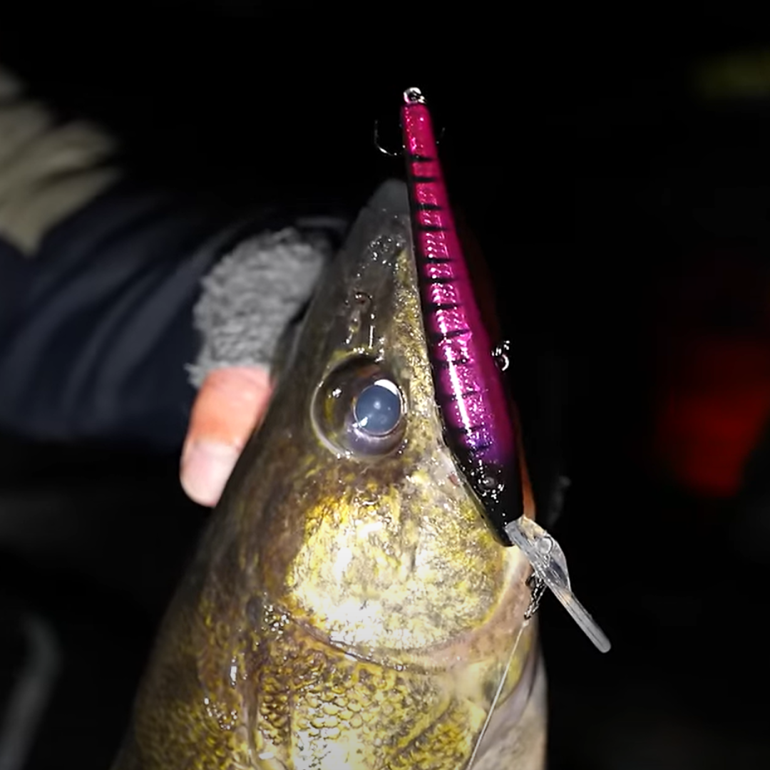 Reef Runner 900JR SERIES - REEF STALKER JR.