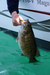 Tube Tips for Great Lakes Smallmouth