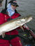 Triggering Muskie Strikes! I Like The SOUND of that!