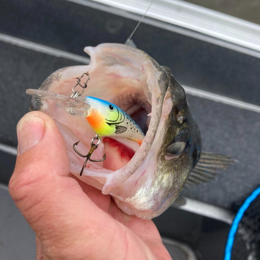 Reef Runner Crankbait Diving Depths - Walleye Lures