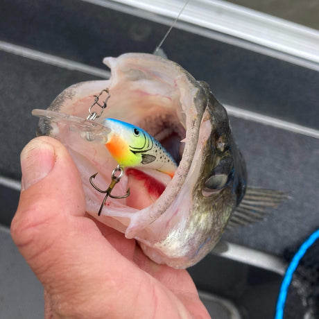 Reef Runner Crankbait Diving Depths - Walleye Lures