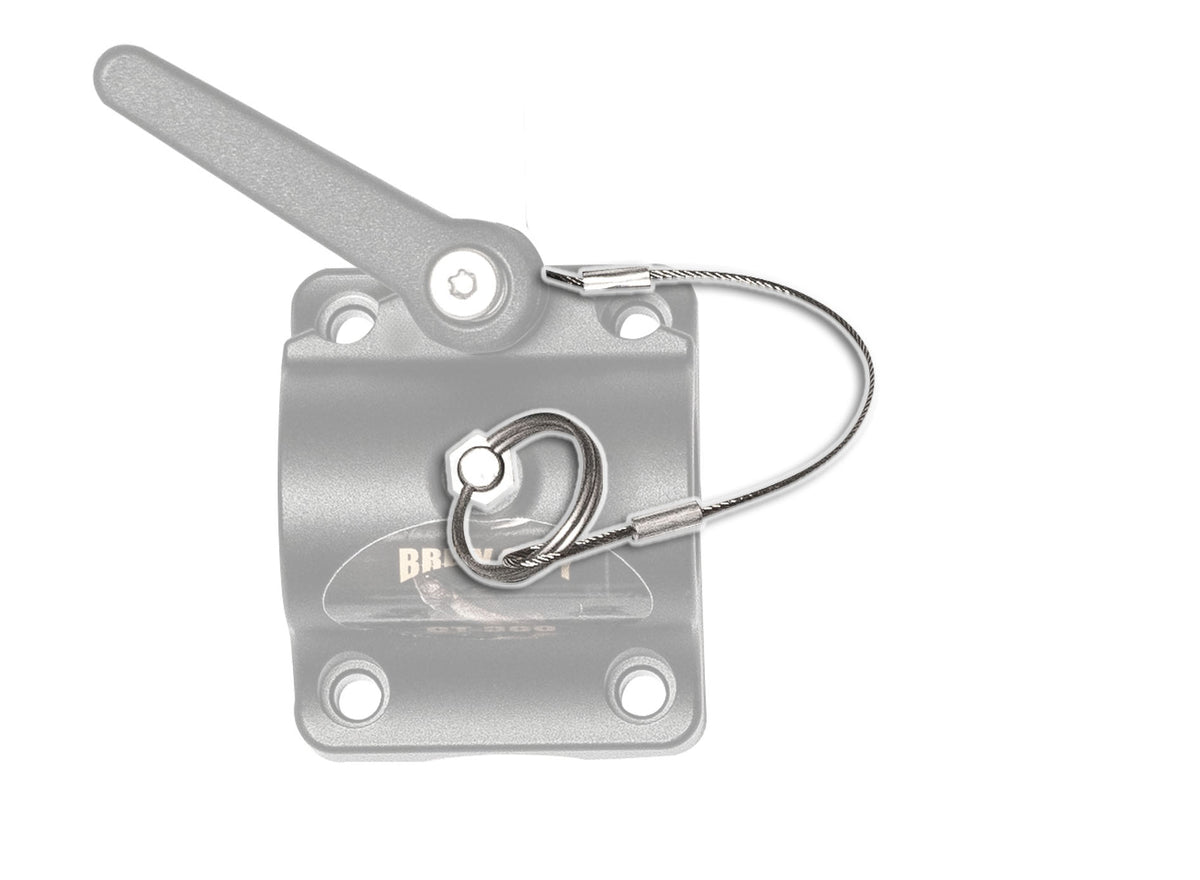 SS Pin & Lanyard - #SSPWL