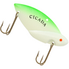 Reef Runner Cicada
